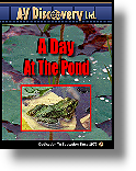 A Day At The Pond